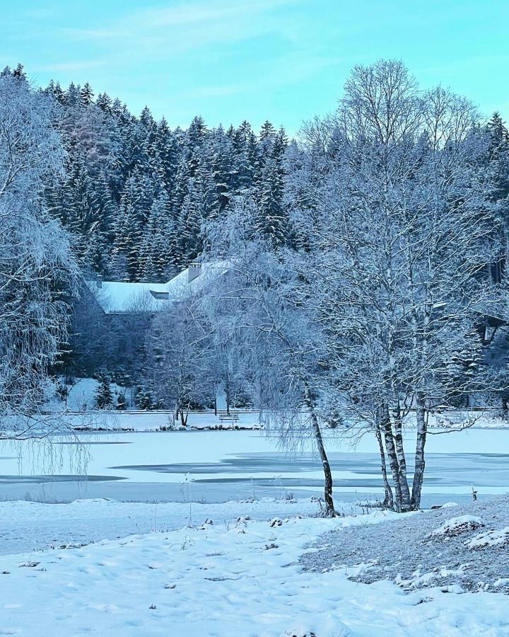 Lakeside Apartments Seefeld 蒂罗尔-泽费尔德 外观 照片